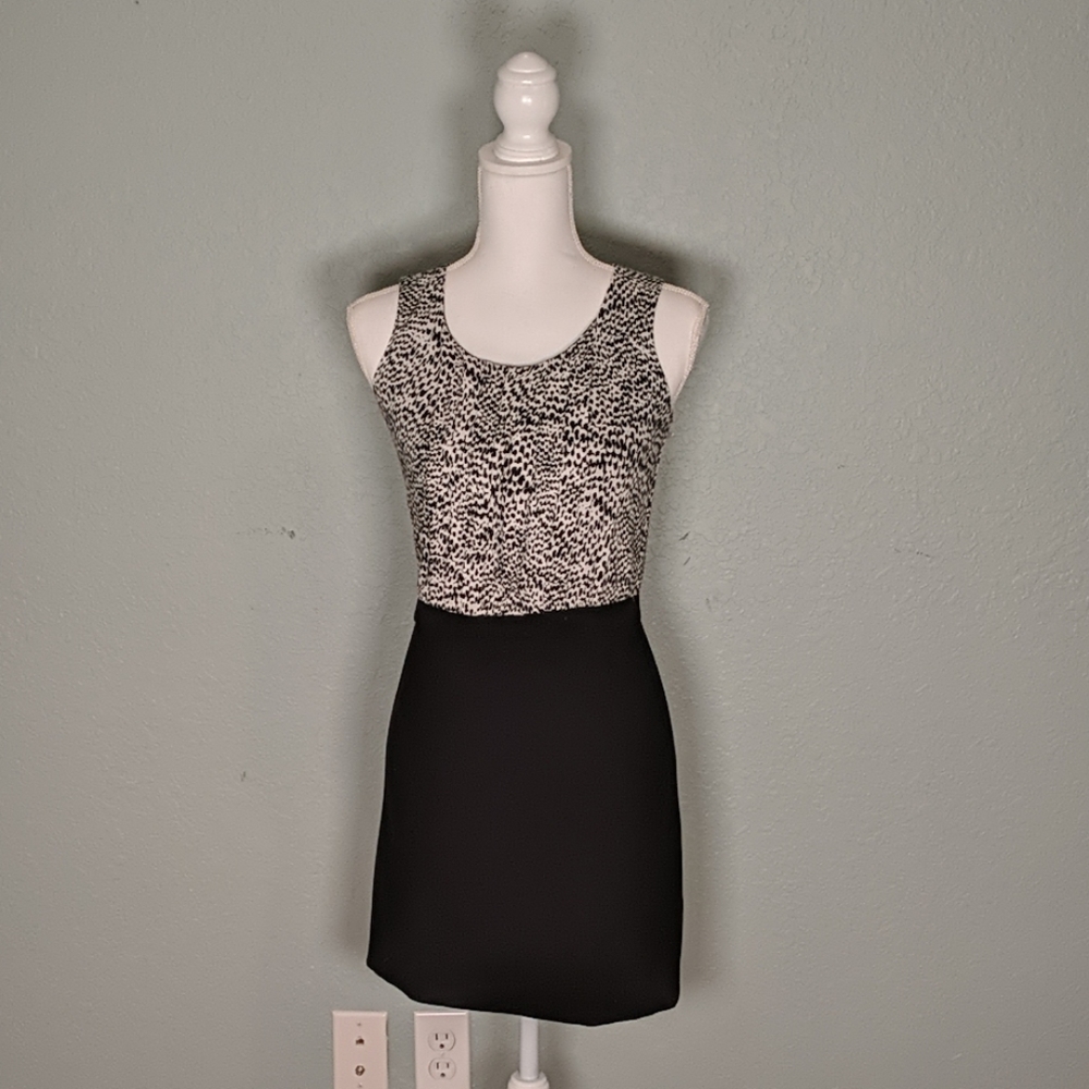 NWOT Loft Business Dress